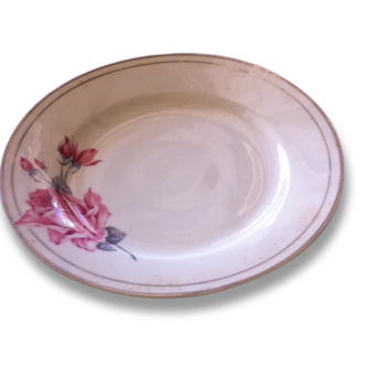 Dish porcelain