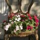 Chaise ancienne décoration florale balcon jardin