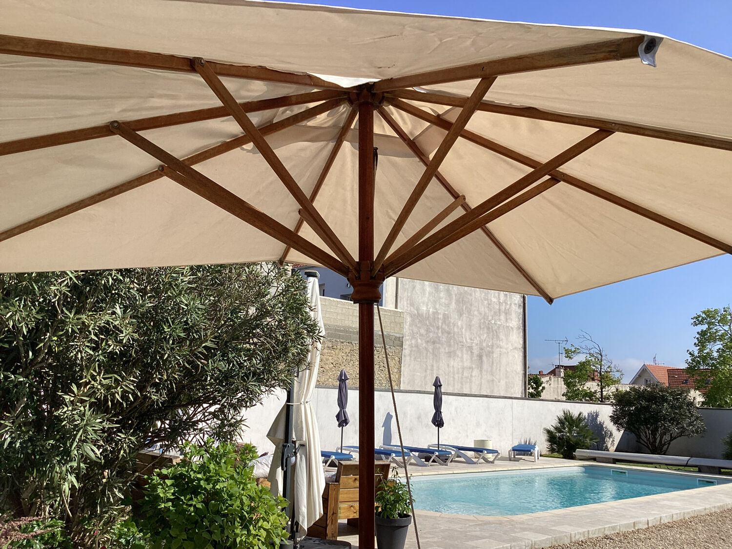 Parasol structure in exotic wood