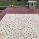 Authentic Beni Ouarain Rug 3.3x2.3M Unbleached Wool with Terracotta Patterns