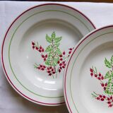 Set de 4 assiettes creuses en porcelaine