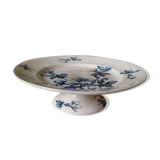 Plat Azalea Luneville