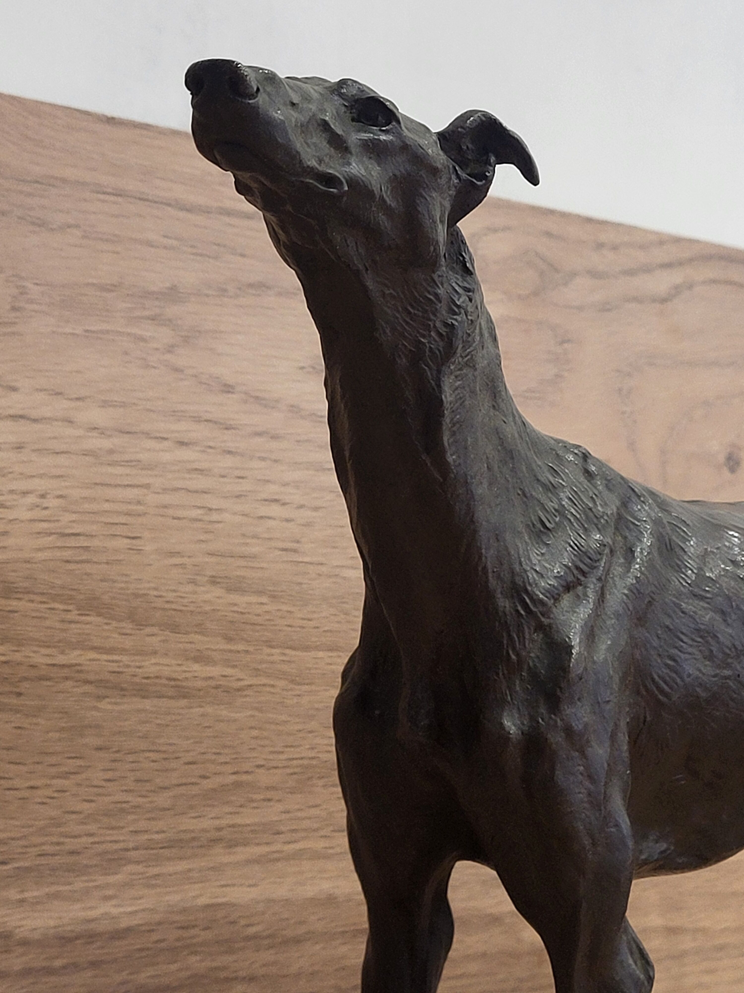 Bronze sculpture of a Greyhound