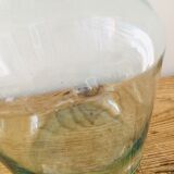 Lady jeanne transparent