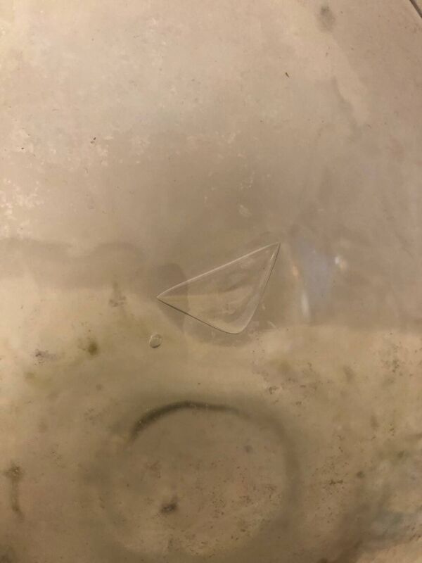 Grosse dame Jeanne, 1950