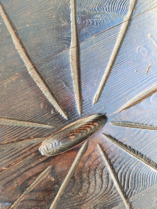 Table basse tripode