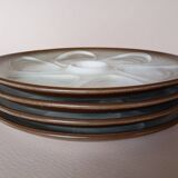 4 Salins oyster plates
