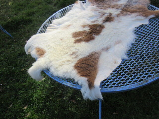Sheepskin rug