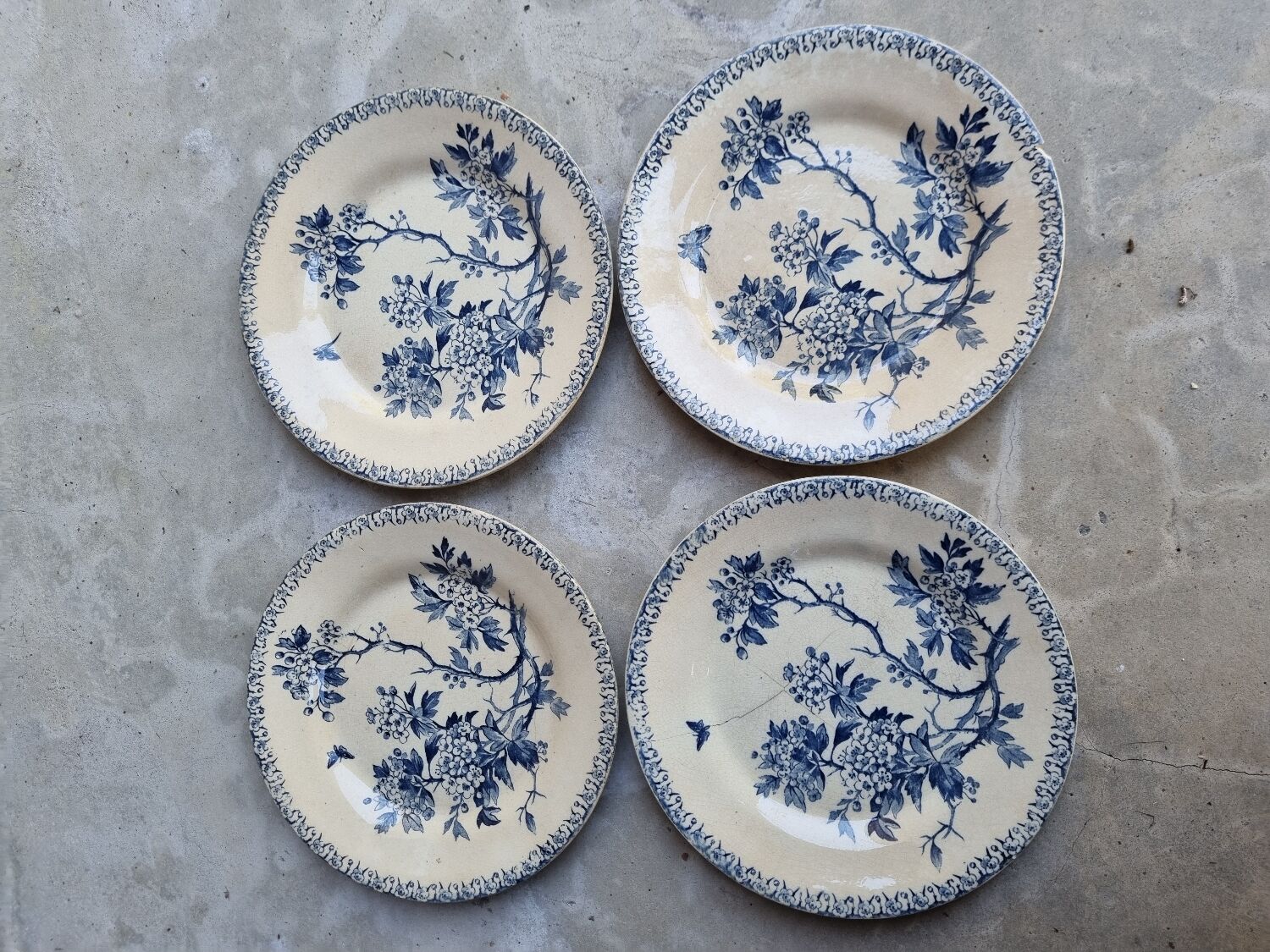 Gien earthenware plates, Iron earth