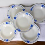 5 Roselys deep plates, vine pattern