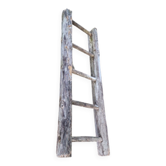 Ladder