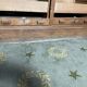 Solid oak notary double curtain filing cabinet 1900