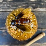 Hive in faience -honey pot-years 60