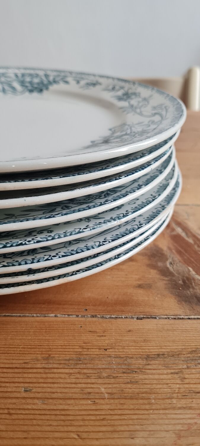 Set of 7 iron clay plates