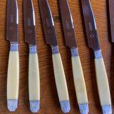 Small dessert knives