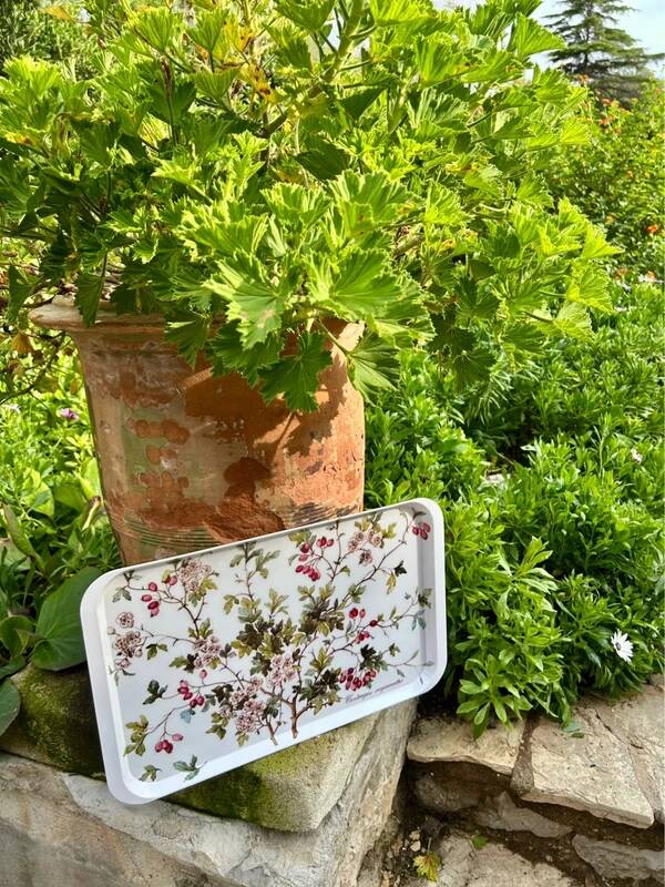 Plateau Villeroy and Boch Botanic