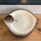 Set de 12 assiettes barbotine poisson Longwy