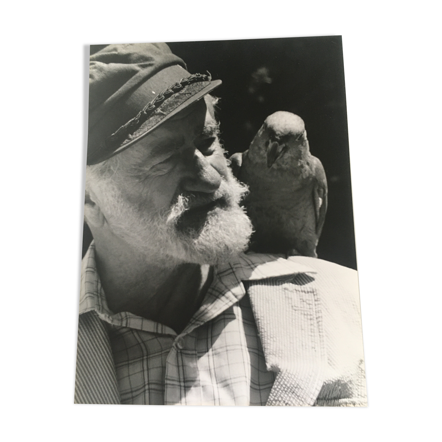 Portrait with parrot, eighties