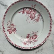 Badonwiller plates