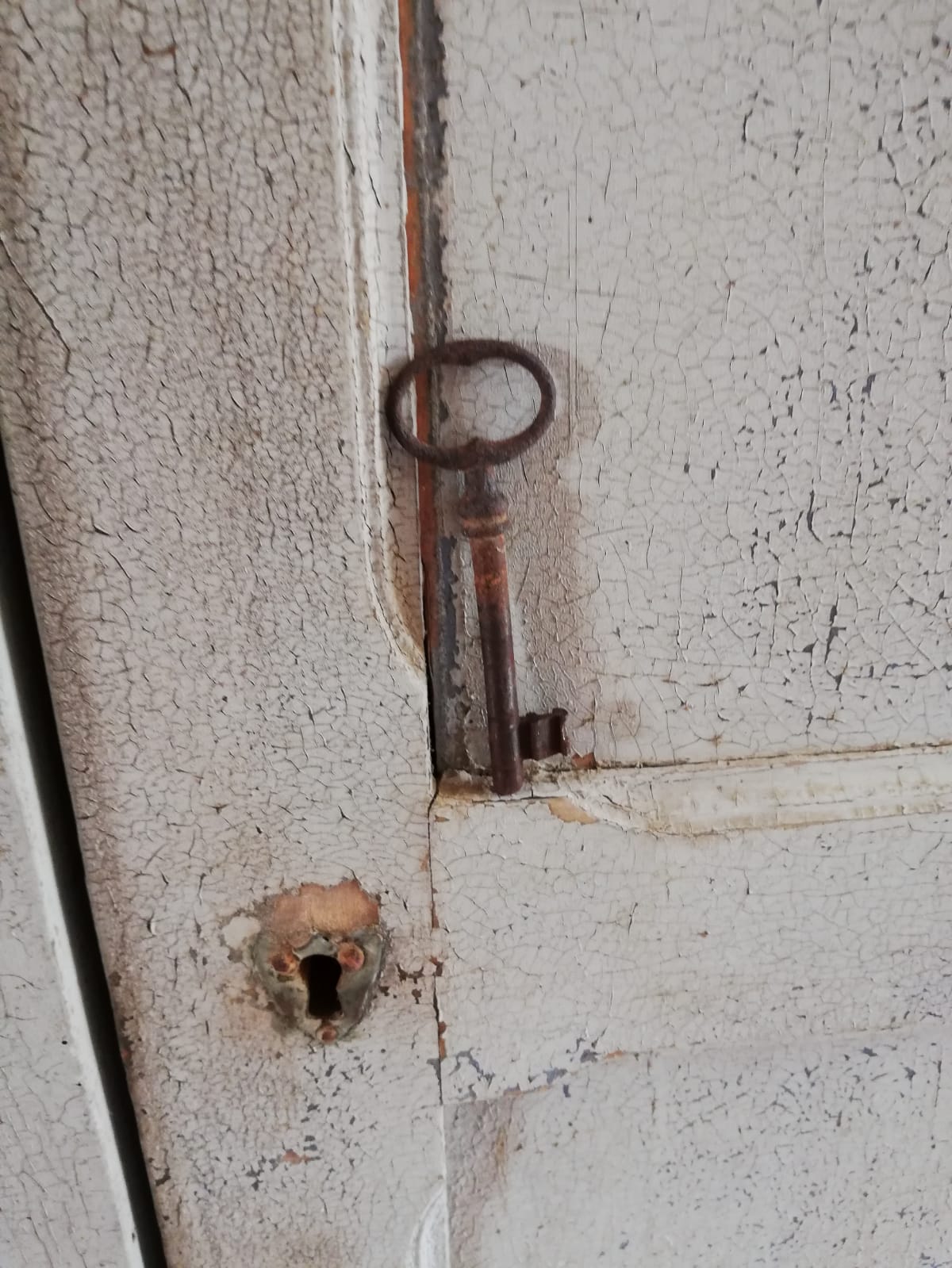 Old Parisian wardrobe 19th century