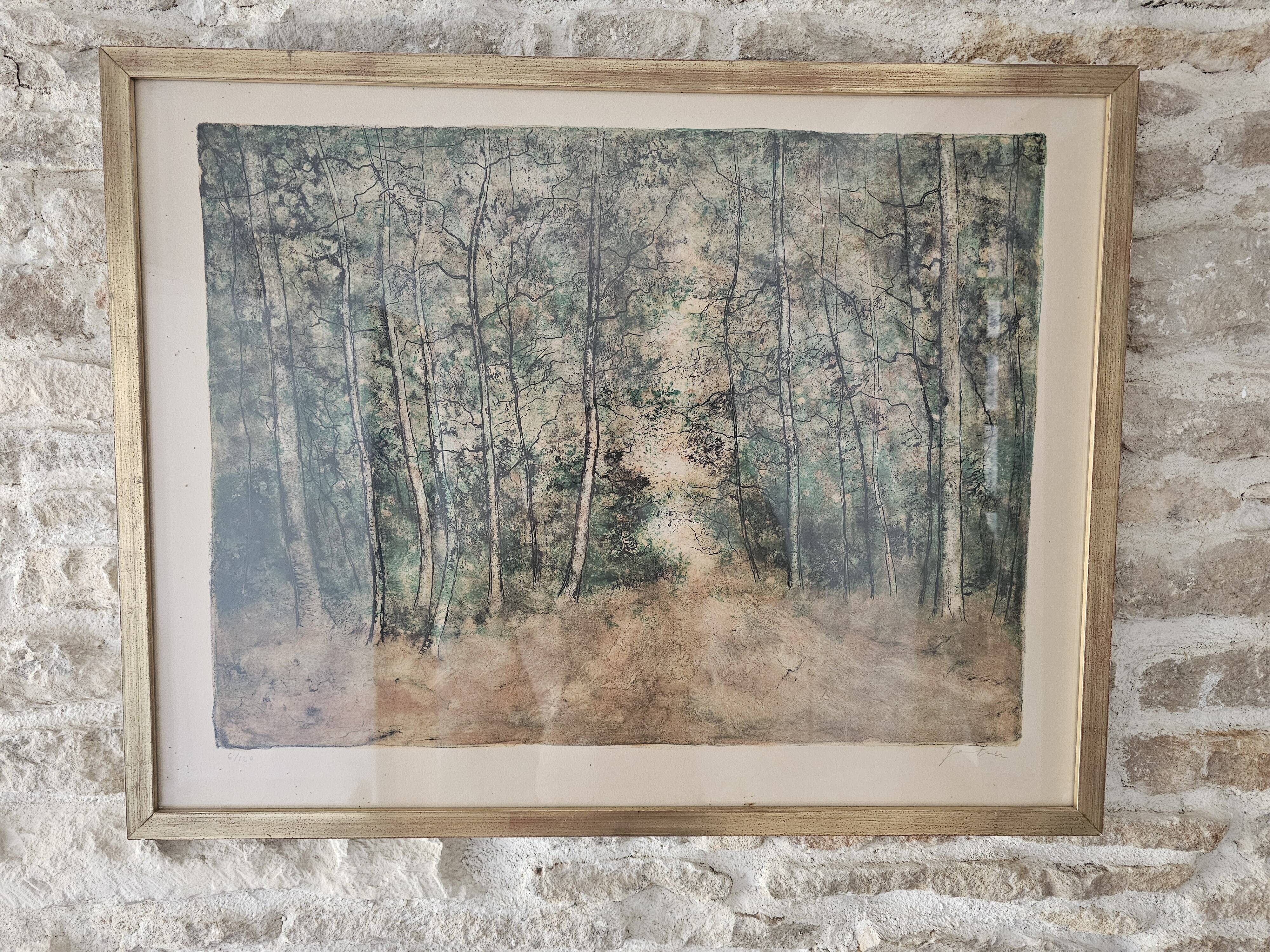 Tableau Lithographie ancienne - Paysage forêt - Bernard Gantner