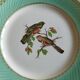 6 assiettes plates Fenal Badonviller "Oiseaux" vintage années 1950