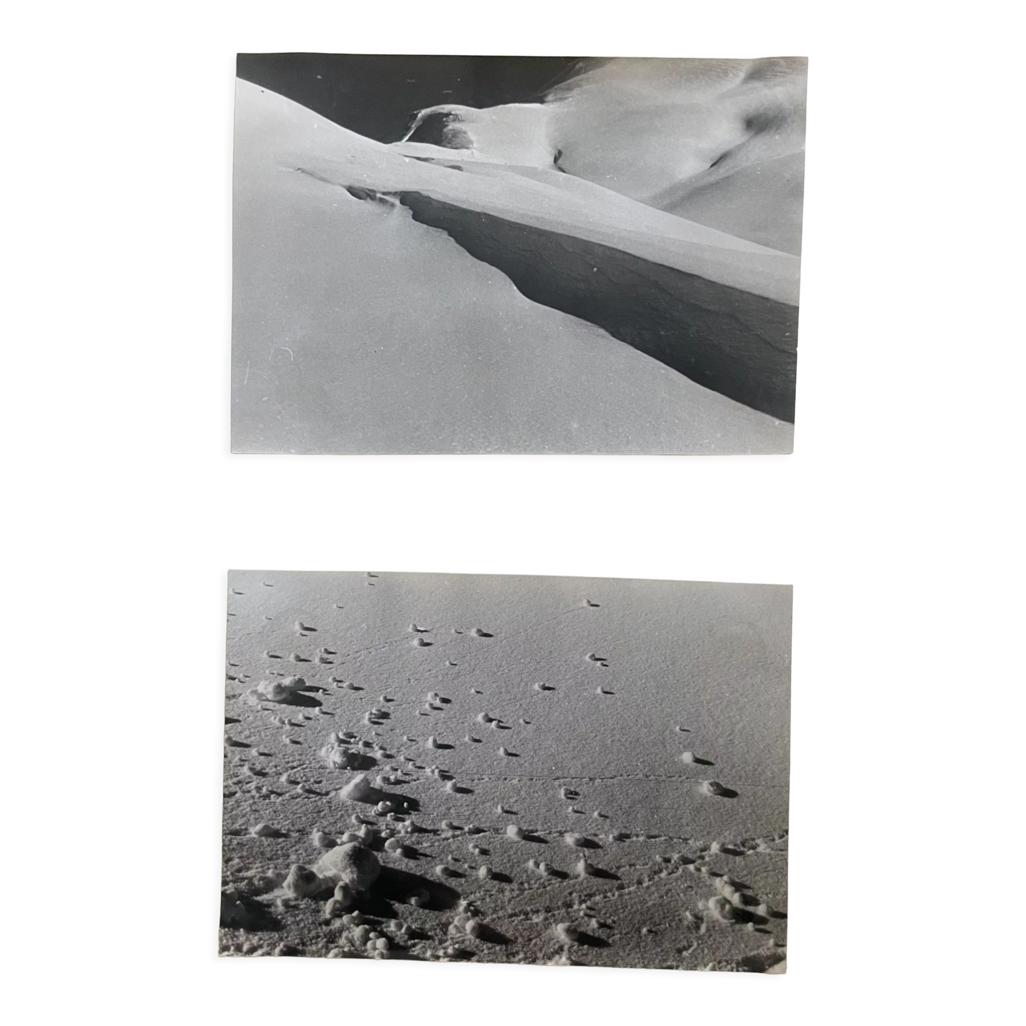 2 photographs black and white silver early twentieth century