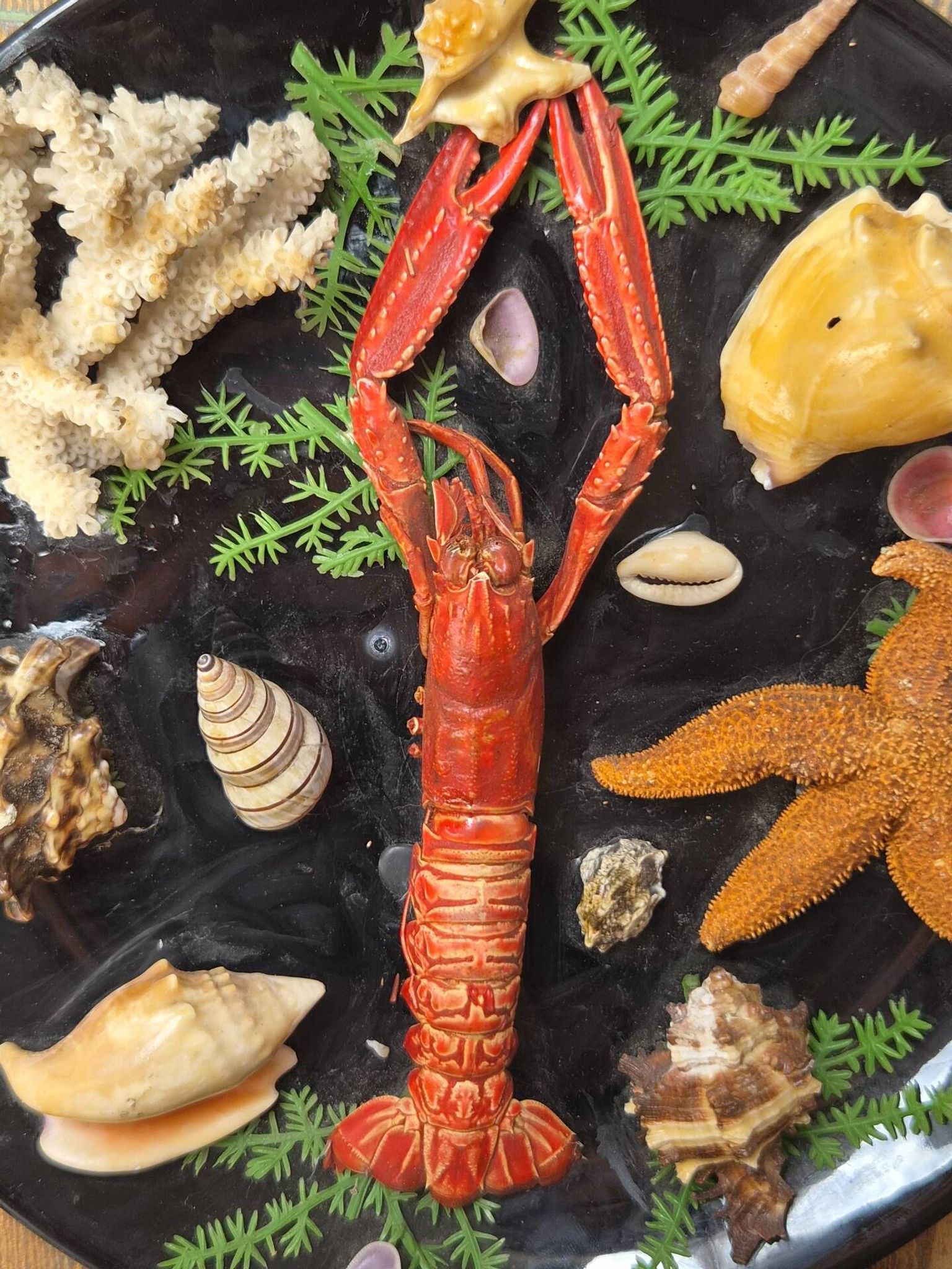 Unusual vintage wall plate seafood curiosity cabinet