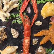 Unusual vintage wall plate seafood curiosity cabinet