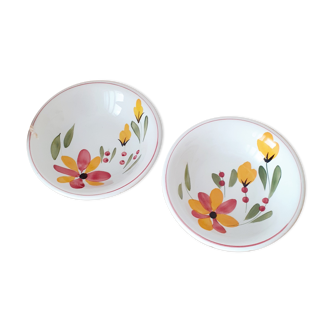 Hand-painted primula flower plates