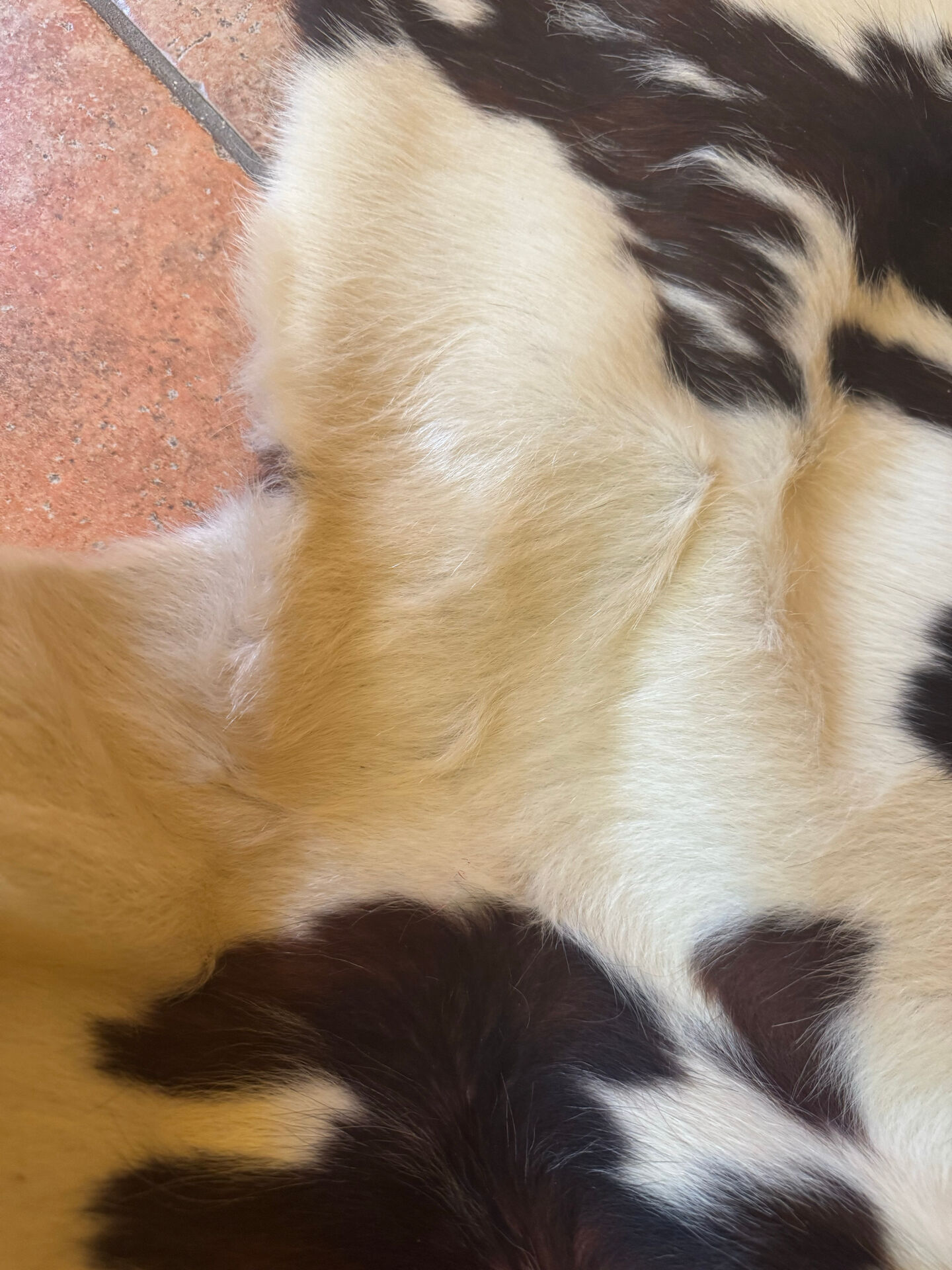 Genuine leather rug – Natural leather