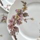 6 antique dessert plates in Limoges porcelain by Haviland & Co.