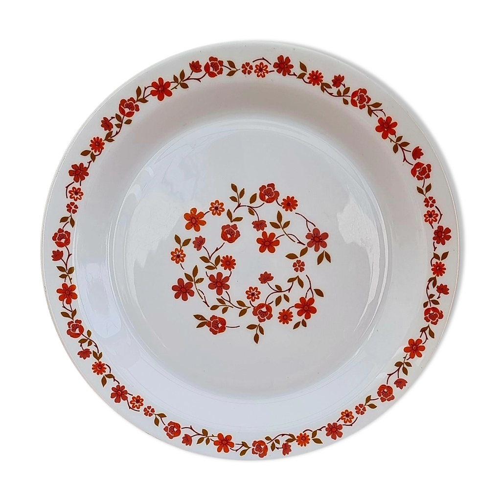SERVCE ARCOPAL MODÈLE SCANA | Assettes plates, Grandes assettes