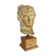 Buste femme