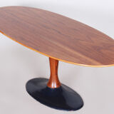 Table ovale tchèque en palissandre du milieu du siècle avec base en fonte, années 1950