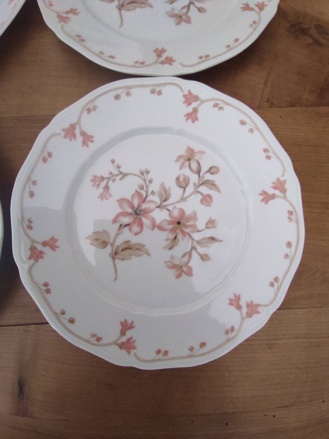 Set of 6 Limoges porcelain dinner plates by Deshoulières