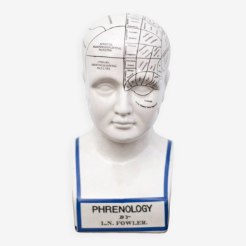 Porcelain bust, Fowler phrenology head, cabinet of curiosities, collection