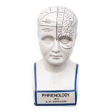 Porcelain bust, Fowler phrenology head, cabinet of curiosities, collection