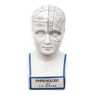 Porcelain bust, Fowler phrenology head, cabinet of curiosities, collection