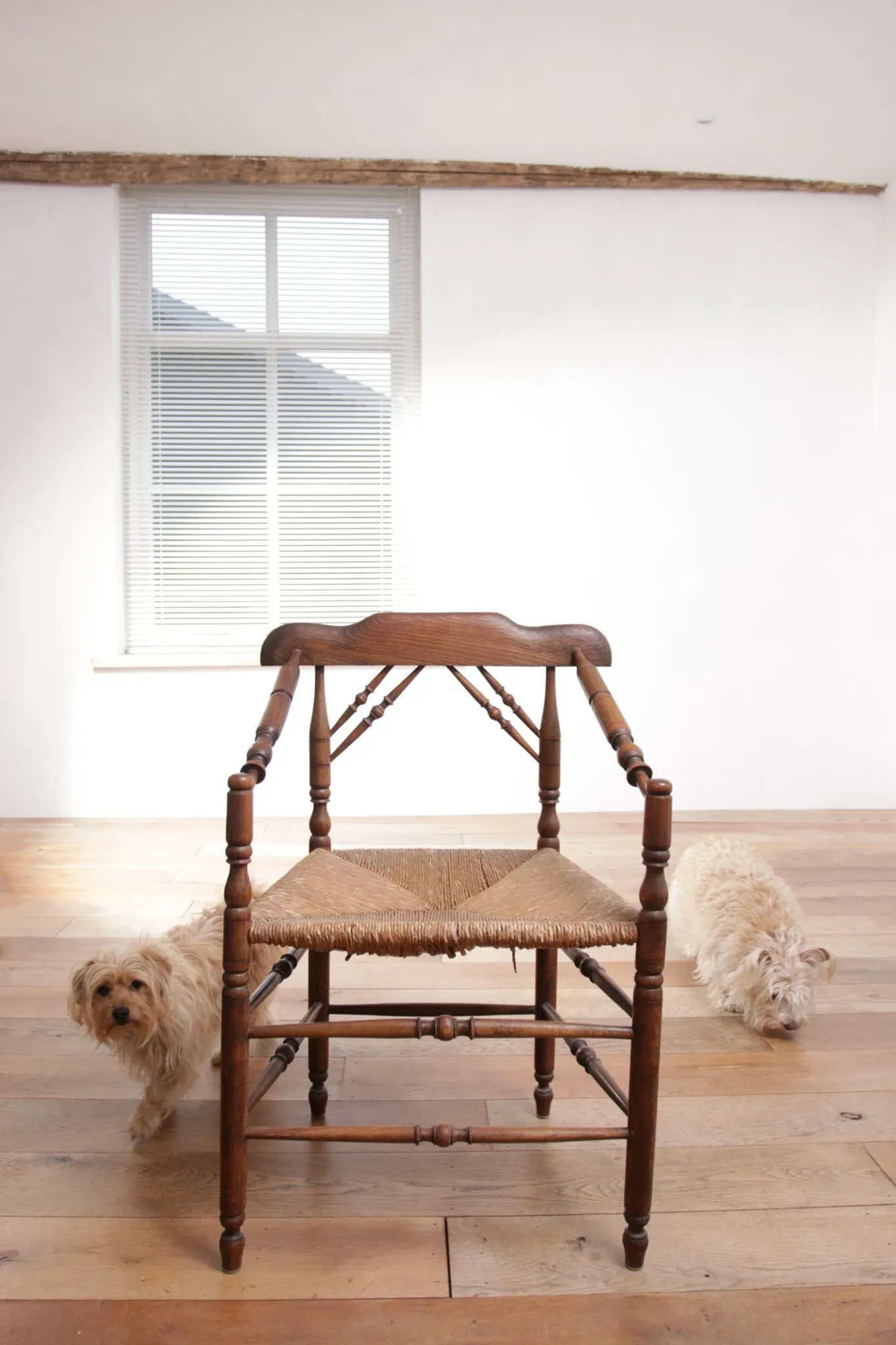 Rare antique Dutch oak armchair with rush seat