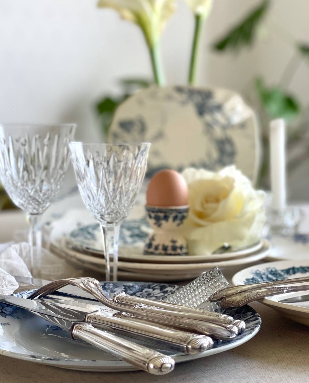 9 mismatched blue ironstone plates