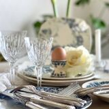 9 mismatched blue ironstone plates