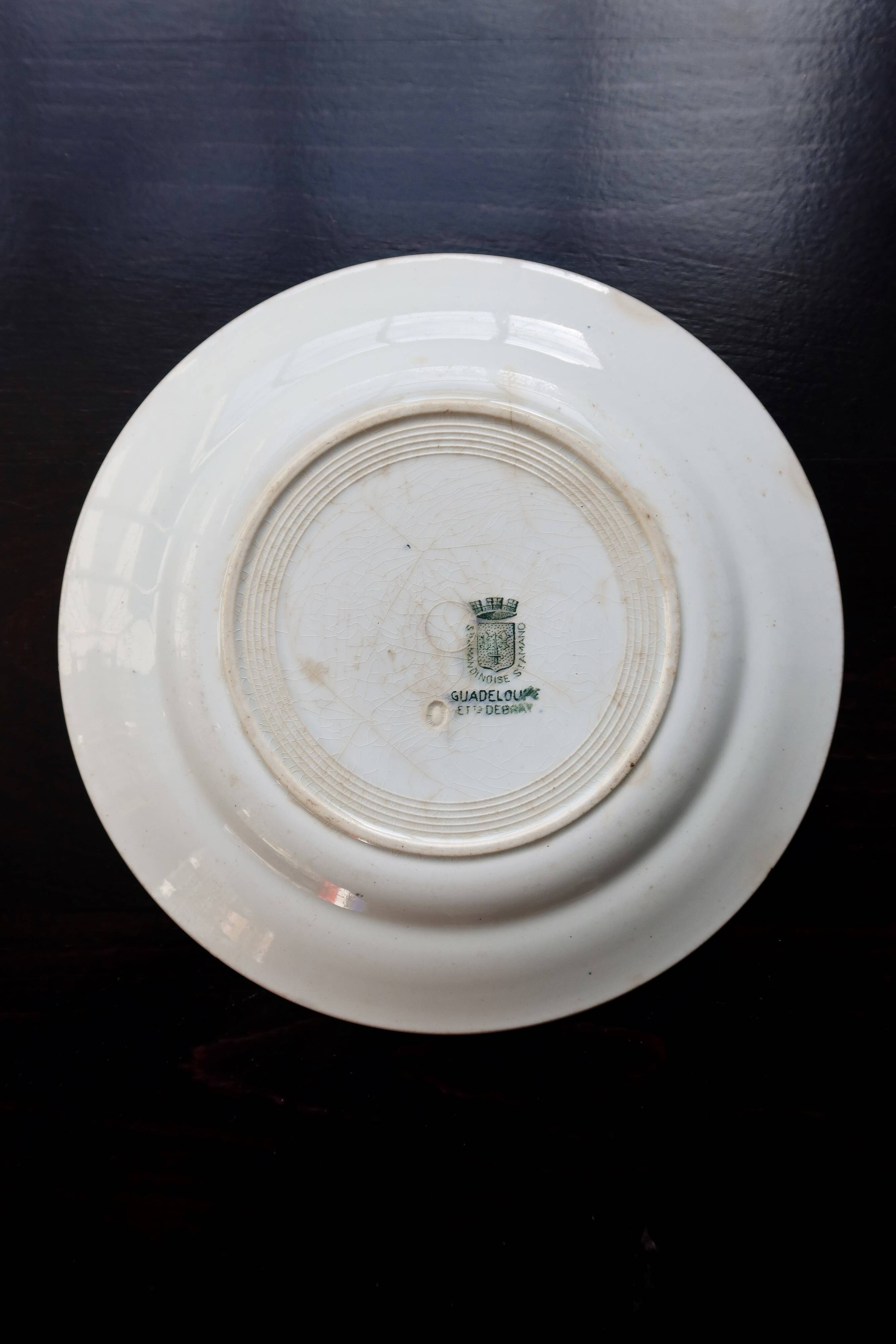 Antique ironstone plate from Saint-Amand – Guadeloupe model