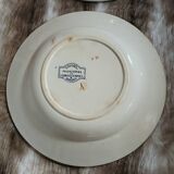 10 antique deep plates in ironstone