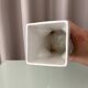 Vintage Sculptural White Ceramic Vase | Postmodern / Memphis Style