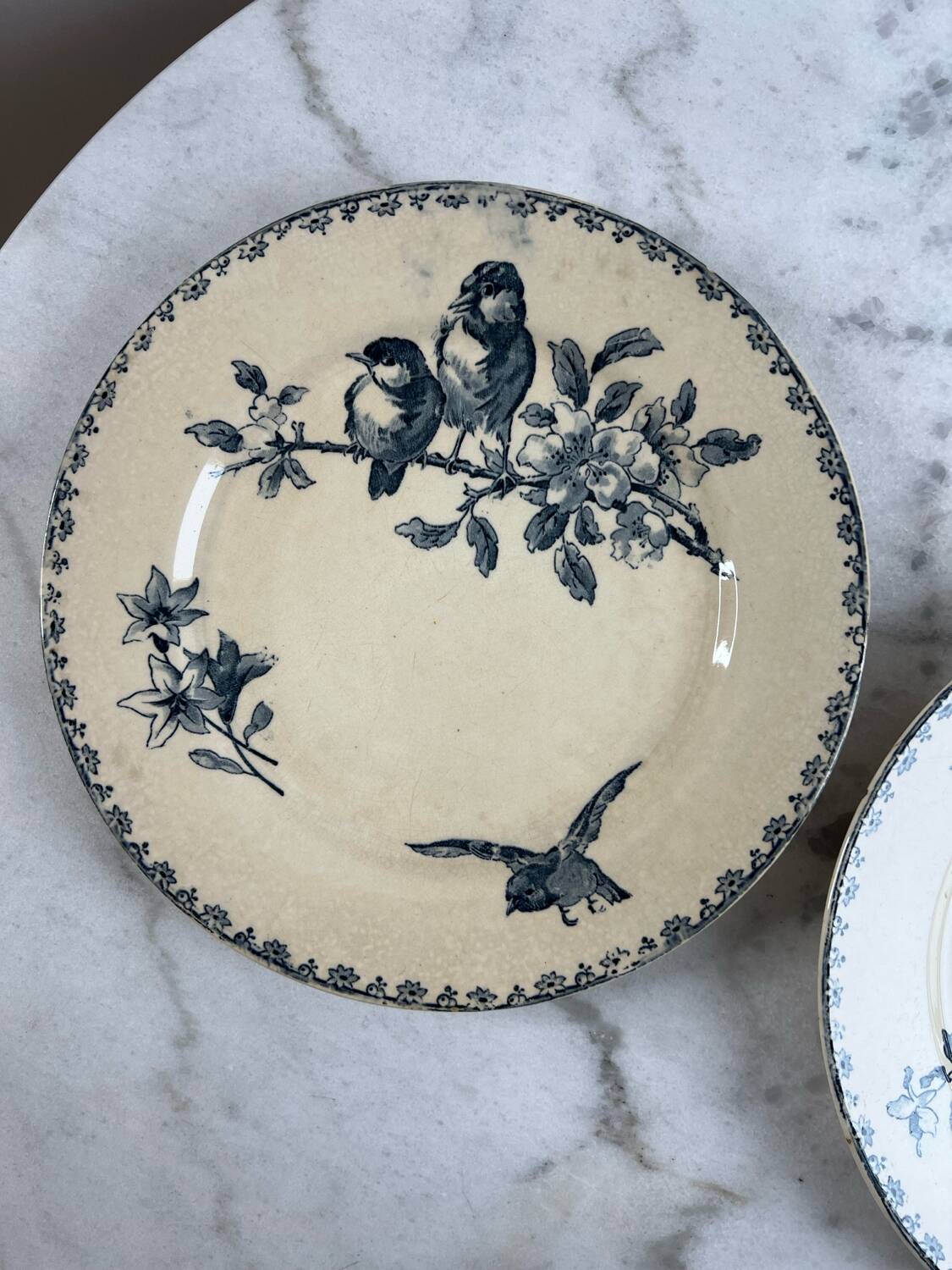 Set of two ironstone plates Sarreguemines Digoin favourite