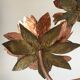 Copper lamp flowers vintage design 70s