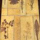 Framed marquetry panel – Old urban scene – 73 x 55 cm