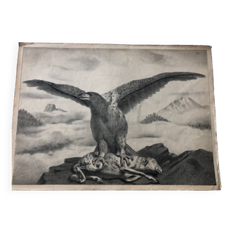 Affiche scolaire zoologique représentant un aigle