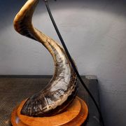 Lampe de salon brutaliste corne de Belier 1970